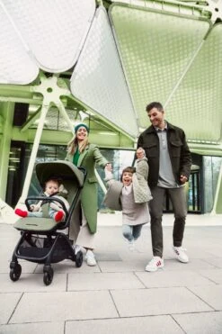 Easywalker Miley 2 -Babyproducten Verkoopwinkel miley2 sage green 4 147 c1 srgb